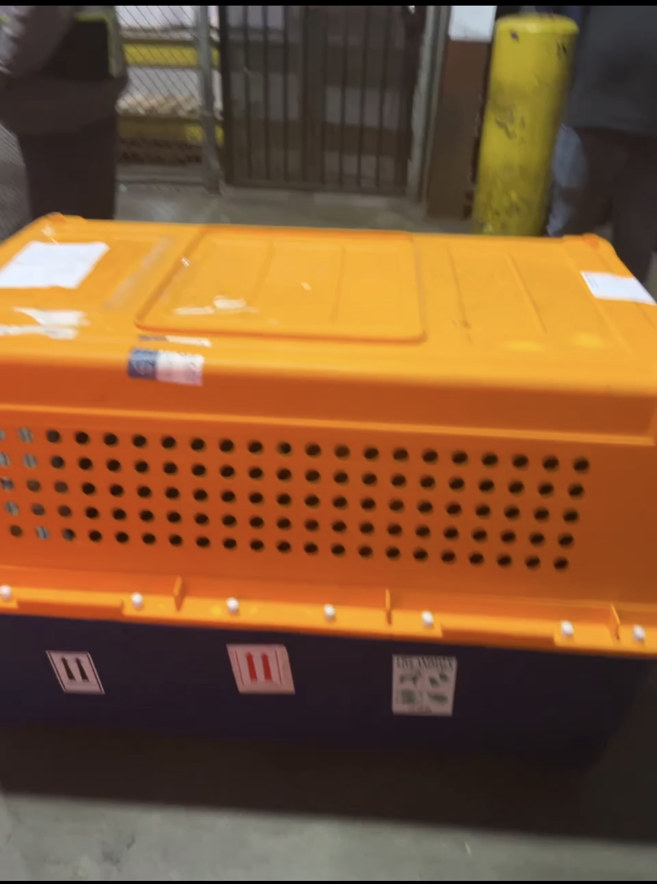 Large airline-approved kennel staged for loading